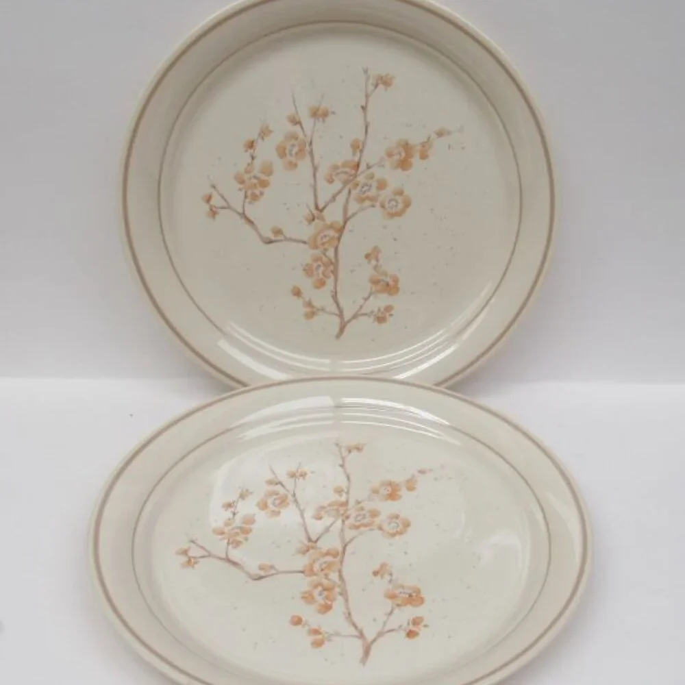 2 - Corning Ware Corelle CHINA BLOSSOM 10 1/4 Inch Large Dinner Plates